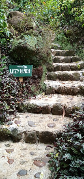 Front of property - Berkey's Jungle Paradise (Roseau)
