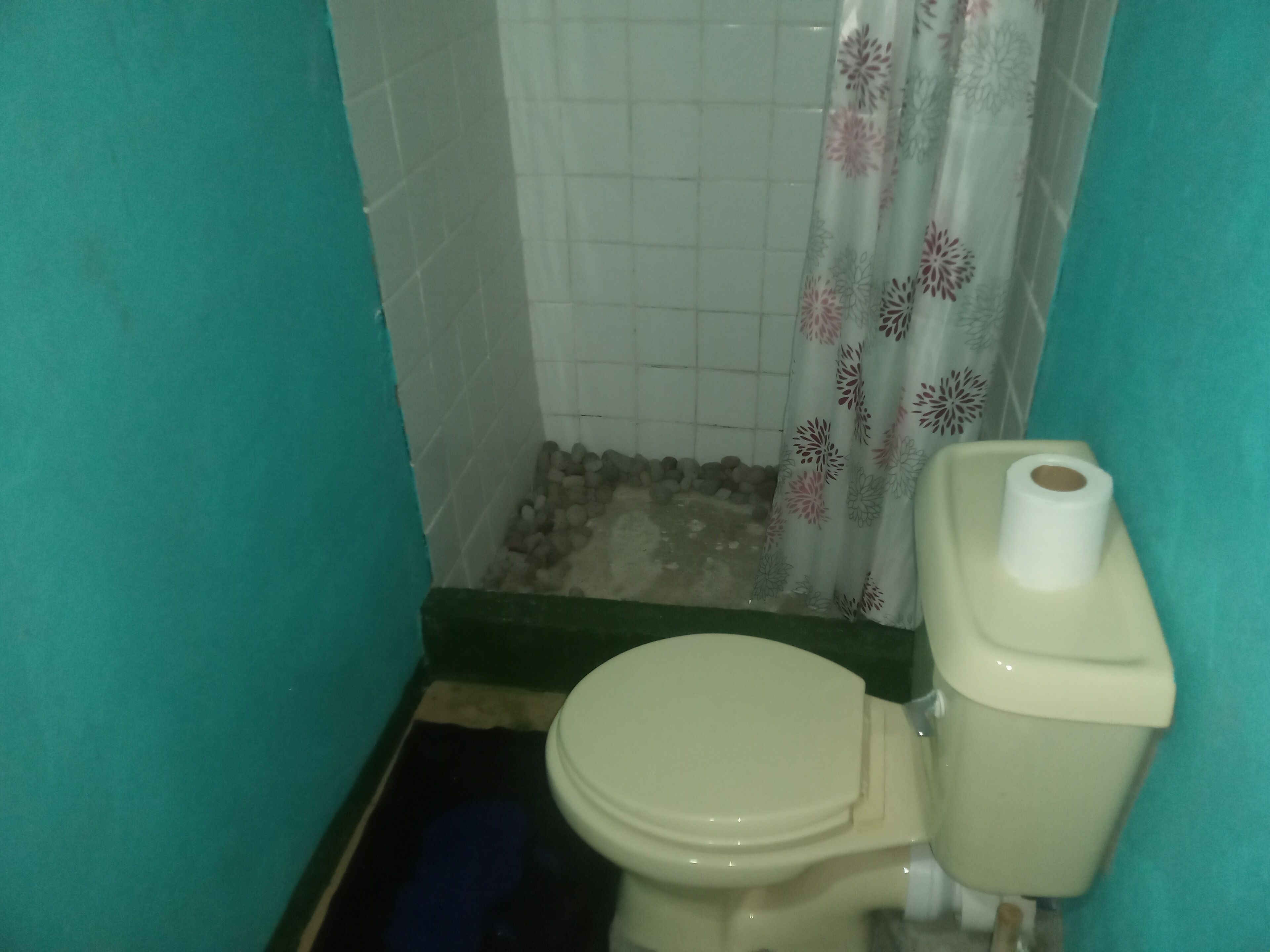 A small bathroom with a toilet, a shower curtain, and a tiled wall.