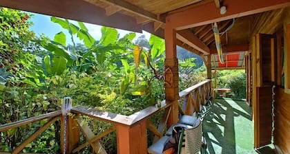 Berkey's Jungle Paradise