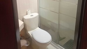A small, modern bathroom with a toilet, a shower enclosure, and a toilet paper holder. - Overlooking studio in Abdoun near UN offices with serviced area (AMMAN)