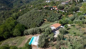 Zona residencial con una casa que tiene piscina, rodeada de vegetación densa y otras viviendas.