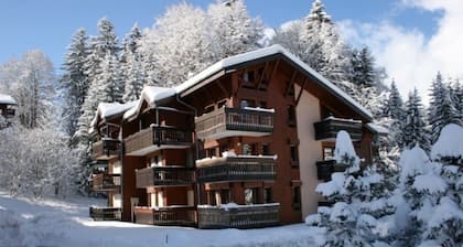 4/6 PERSON RENTAL - LE FAYARD- 800M FROM THE CENTER