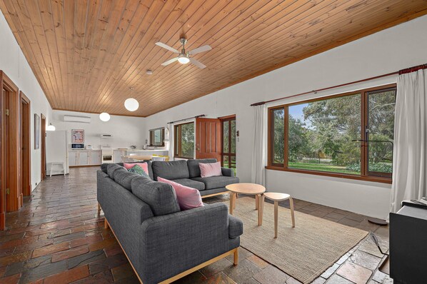 TV, fireplace, books