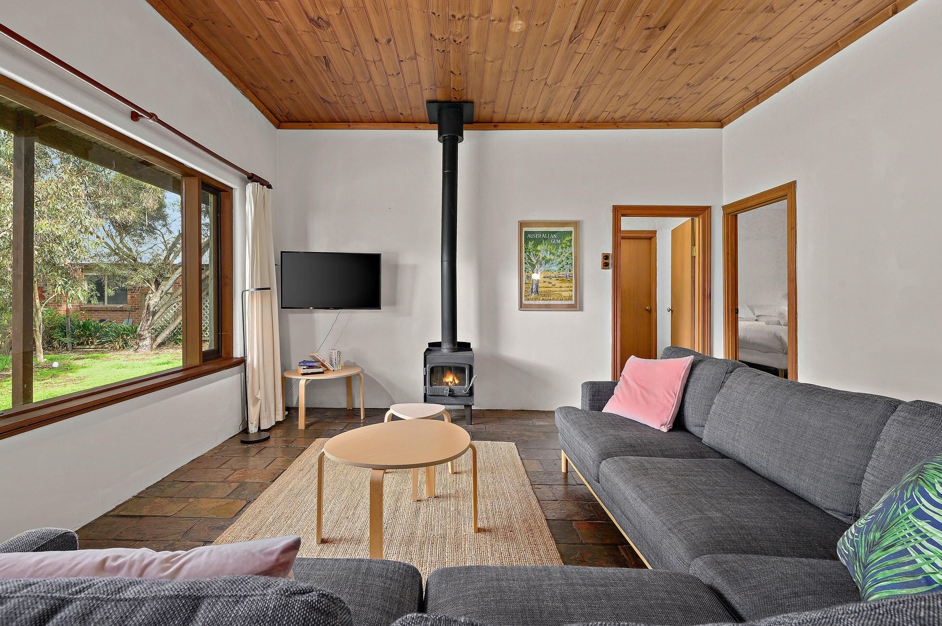 Televisión, chimenea y libros 