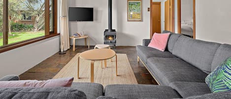 TV, fireplace, books