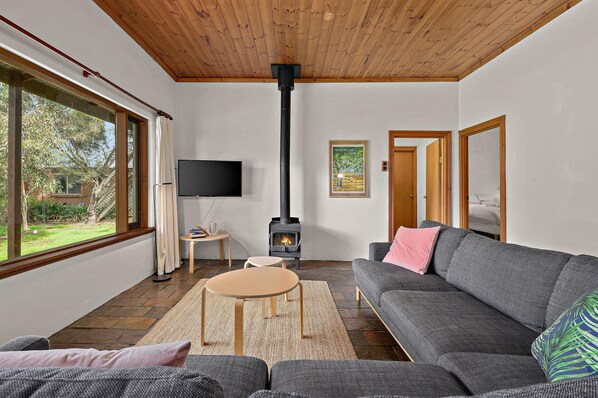 TV, fireplace, books