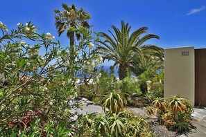A garden with various plants and a palm tree. - Bungalow Moijama 2, en Puerto Naos (Puerto Naos)
