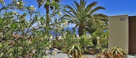 Un jardín ajardinado con diversas plantas y una palmera, un edificio con el número '02' y un cielo azul despejado.