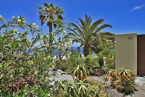 Ein angelegter Garten mit verschiedenen Pflanzen und einer Palme, ein Gebäude mit der Nummer '02' und einem strahlend blauen Himmel.