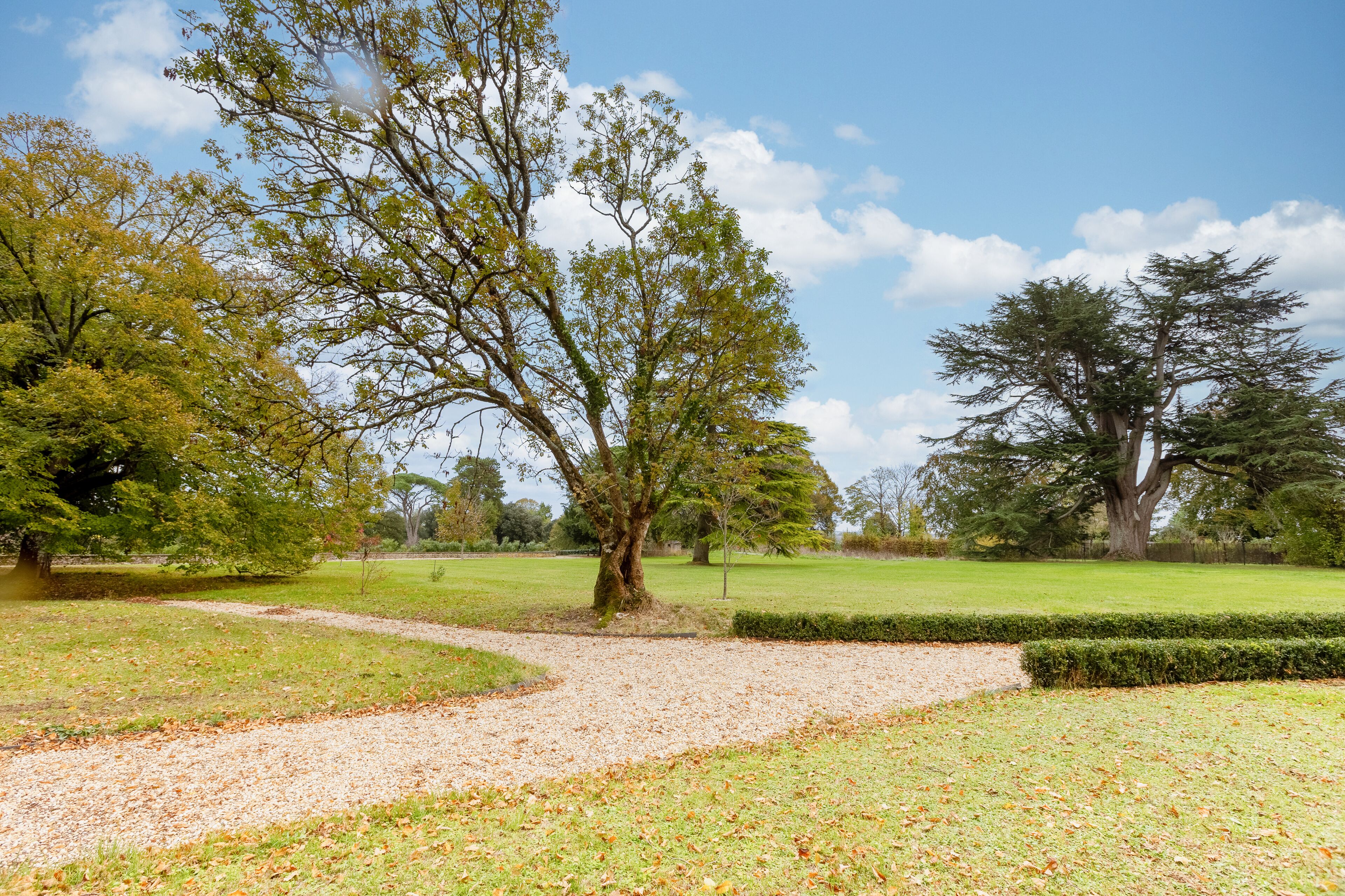 A park with a gravel path, green grass, and trees.