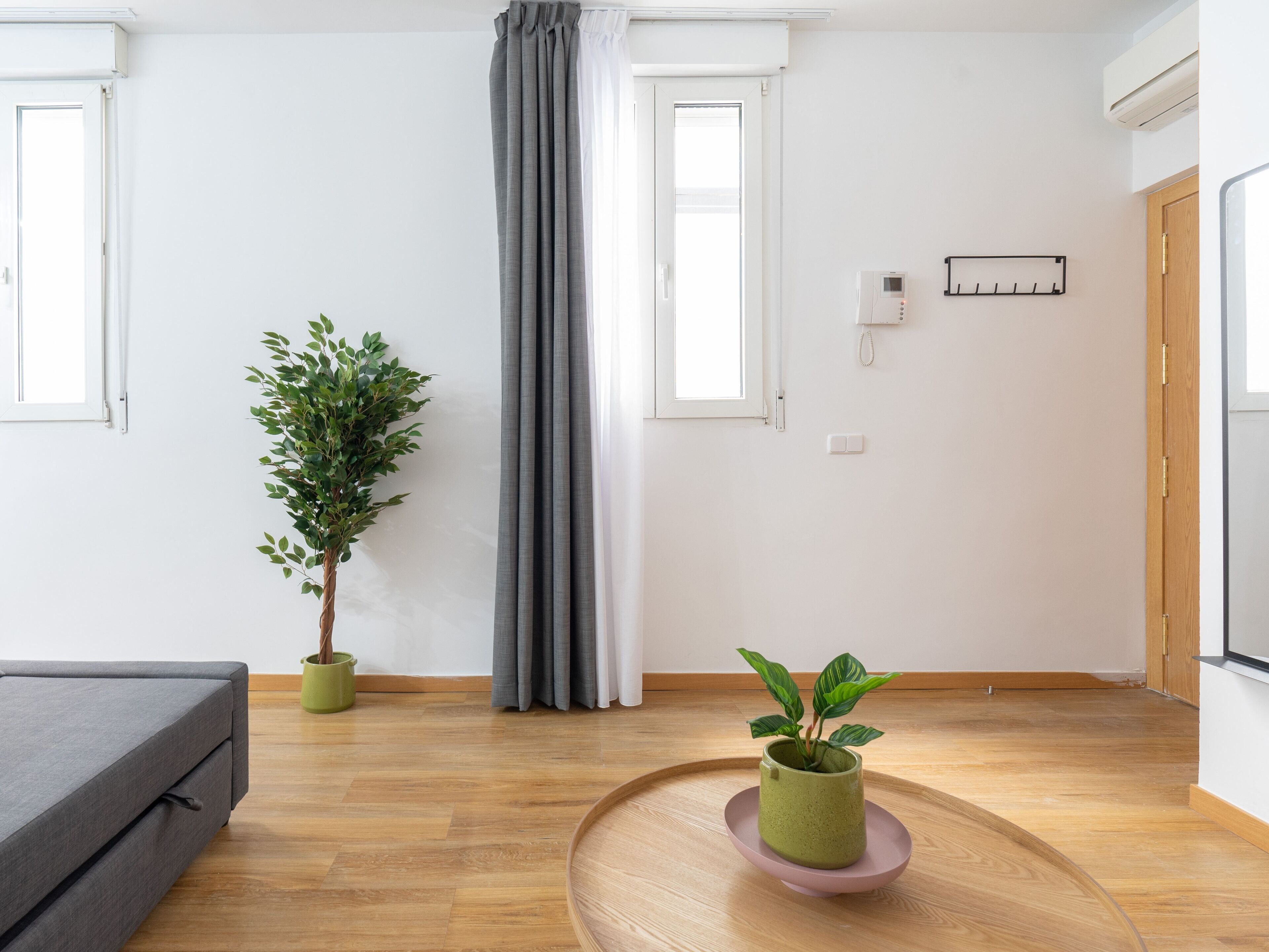 Une pièce moderne et minimaliste, avec un canapé gris, un plancher en bois, une plante verte dans un pot et une petite table sur laquelle est posée une plante.