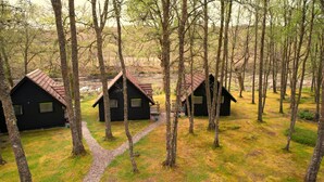 Three cabins in a forest with a gravel path leading to them.