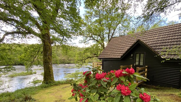 A rustic cabin with a river in the background, surrounded by lush greenery and blooming flowers.