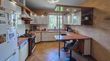 Fridge, oven, stovetop, dishwasher