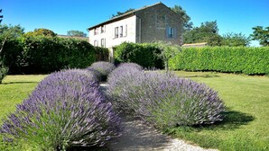 A stone building with a garden path lined with lavender bushes. - Large air-conditioned house with heated swimming pool in quiet Provence (Entraigues sur la Sorgue)