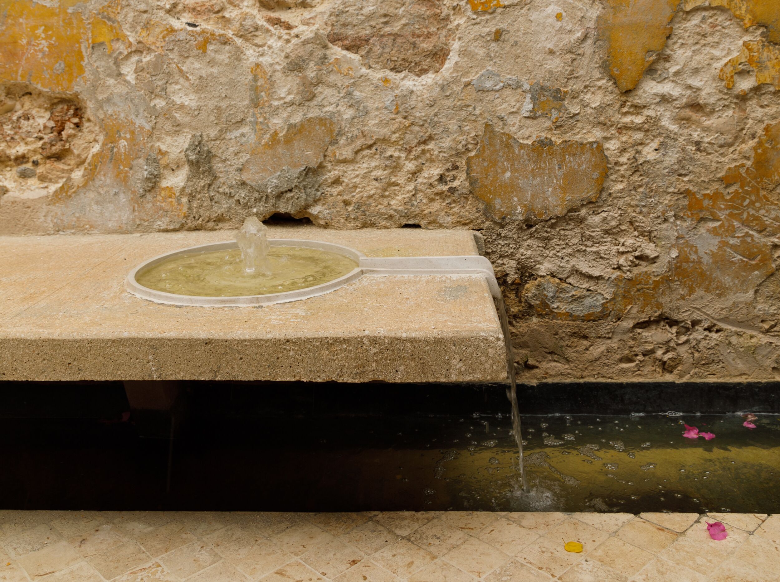 Foto - Las Lupitas Hotel Boutique