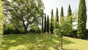 A well-maintained garden with a variety of trees, including tall, slender ones and a larger tree with a broad canopy. - Studio With Pool And Orchard (Monteleone d'Orvieto)
