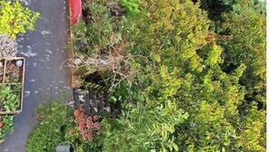 En tagterrasse med siddeområde, et lille bord og forskellige planter.