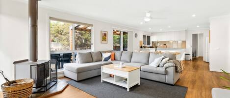 Télévision, cheminée, livres, vidéothèque