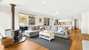 Télévision, cheminée, livres, vidéothèque