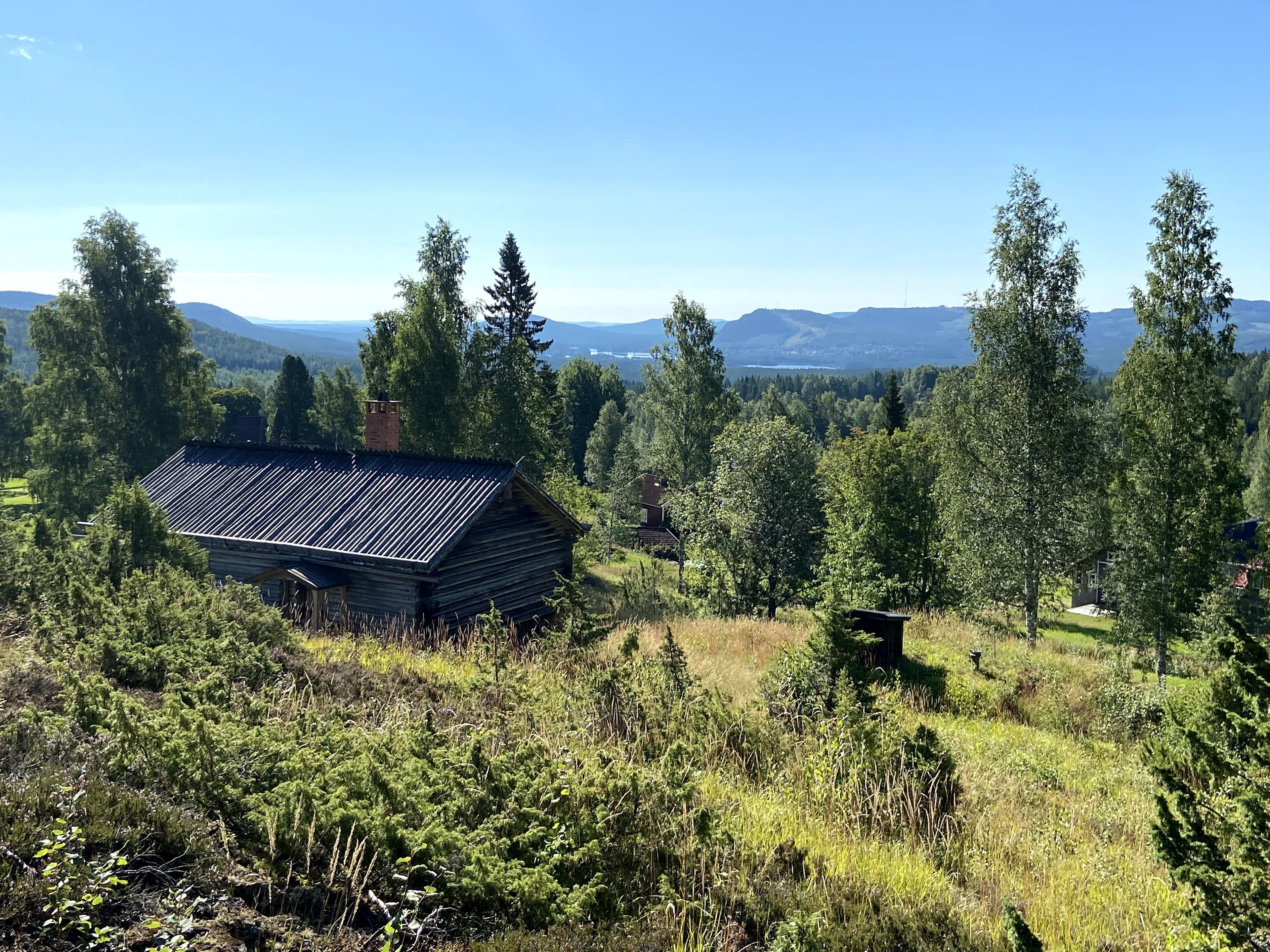 Un chalet rustique, doté d’un toit en pente, entouré d’une forêt dense et avec des montagnes en arrière-plan.