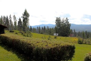 Cottage | Garden - Beautiful 4-5 Persons Cottage in Alvdalen (Alvdalen)