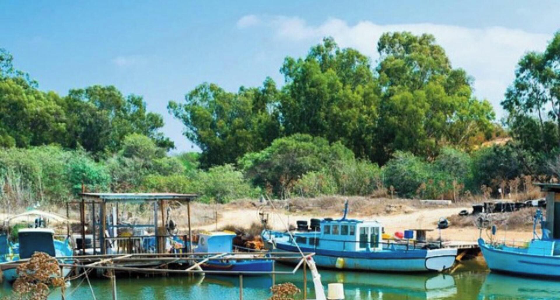 Un puerto deportivo con varias embarcaciones amarradas, rodeado de árboles y un cielo despejado.