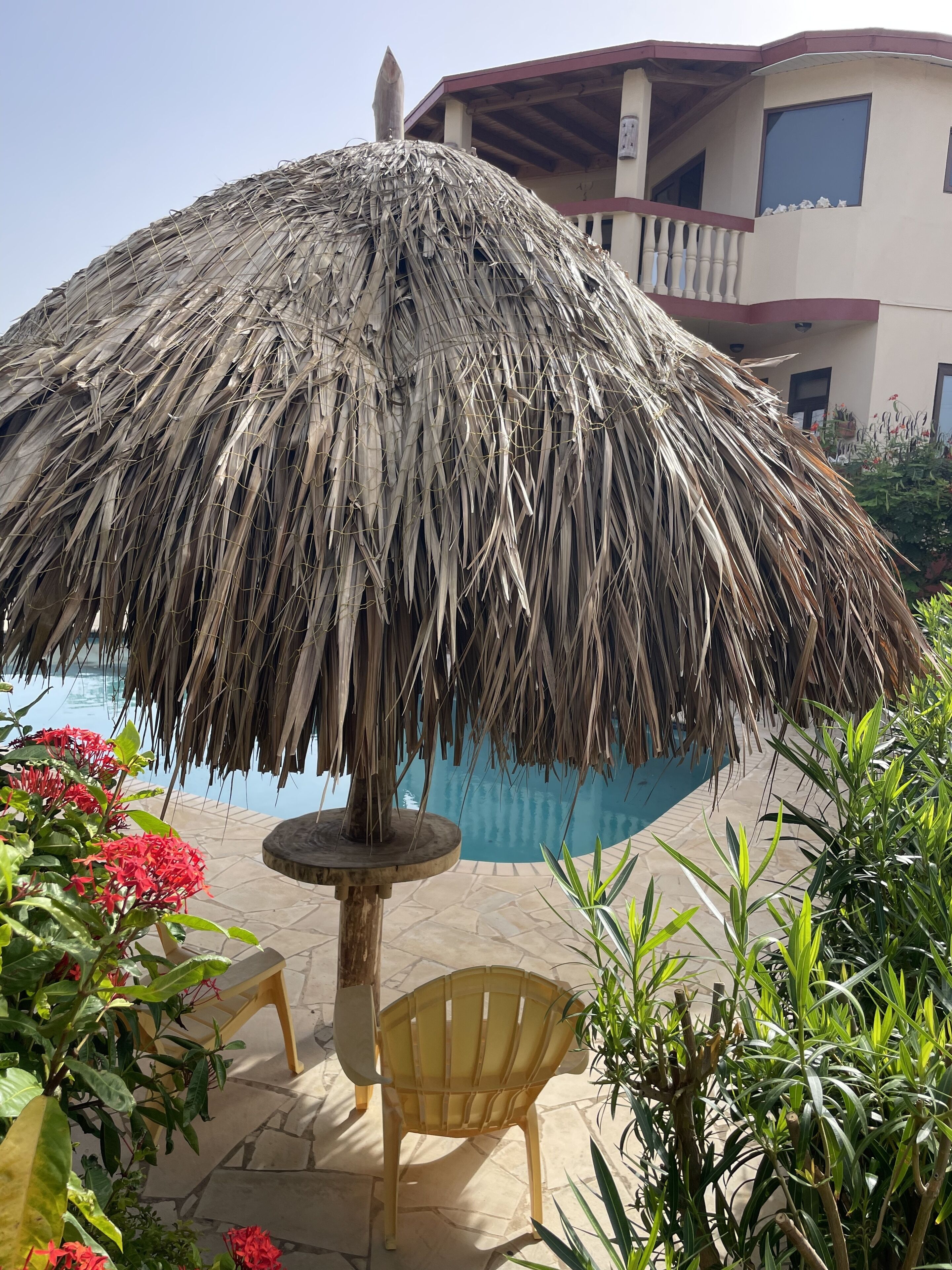 Una piscina al aire libre, una piscina climatizada