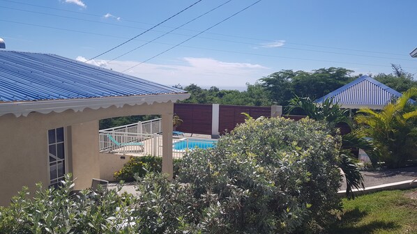 A residential area with a house featuring a blue roof, a swimming pool, and a fenced yard with various plants.