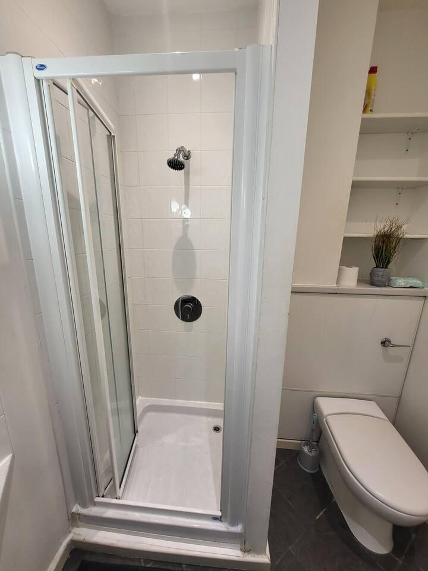 A shower with a glass door, a toilet, and a shelf with a plant and a roll of toilet paper.