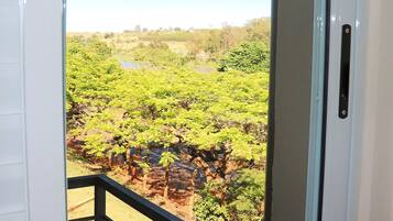 Premium Room | View from room