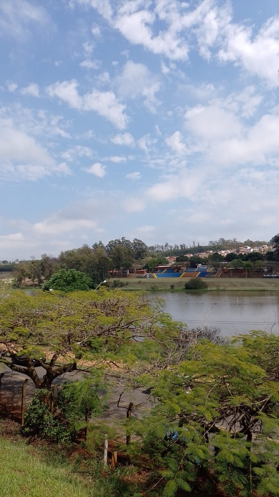 Un paisaje con una masa de agua, árboles y una vista distante de un pueblo.