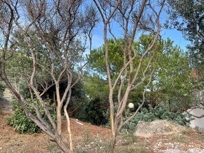 Parco della struttura