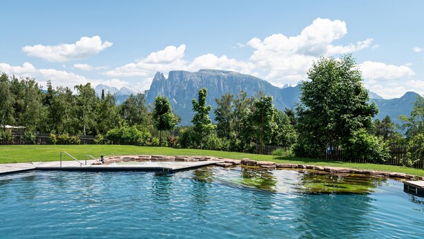 Une piscine à l’eau claire, entourée d’une pelouse et d’arbres, avec des montagnes en arrière-plan.