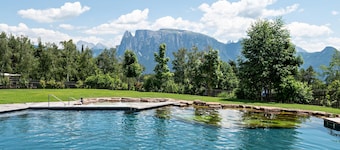 Holiday Apartment "Schartneralm Latsche" with Mountain View, Balcony & Wi-Fi