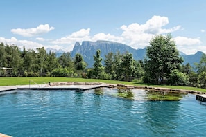 Ein Schwimmbad mit Blick auf eine Berglandschaft, umgeben von Bäumen und einer Rasenfläche.