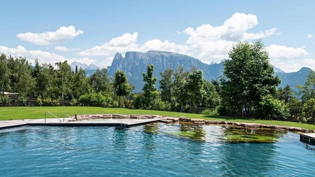 Ein Schwimmbad mit Blick auf eine Berglandschaft, umgeben von Bäumen und einer Rasenfläche.
