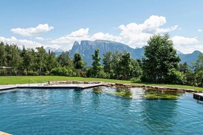 A swimming pool with a mountain backdrop, surrounded by trees and a grassy area.