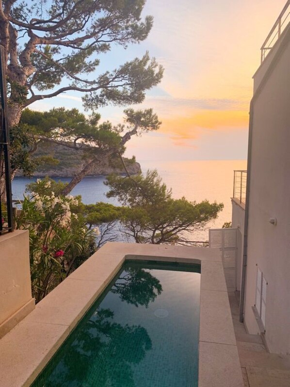 A swimming pool with a view of the sea and a tree.