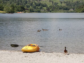 Beach - Grizedale (Kendal)