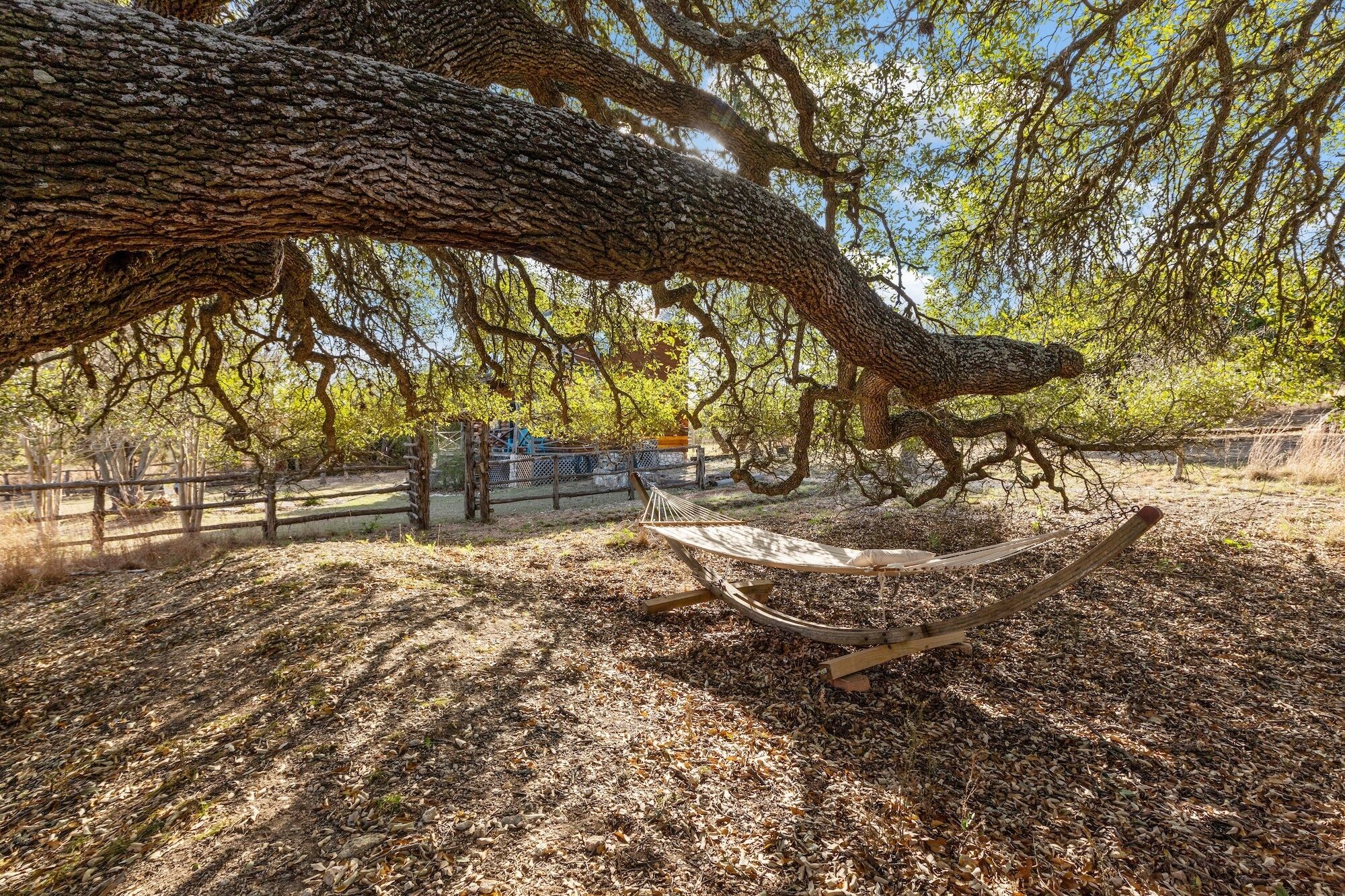 Una hamaca bajo un árbol grande en un parque con una valla y un edificio al fondo.