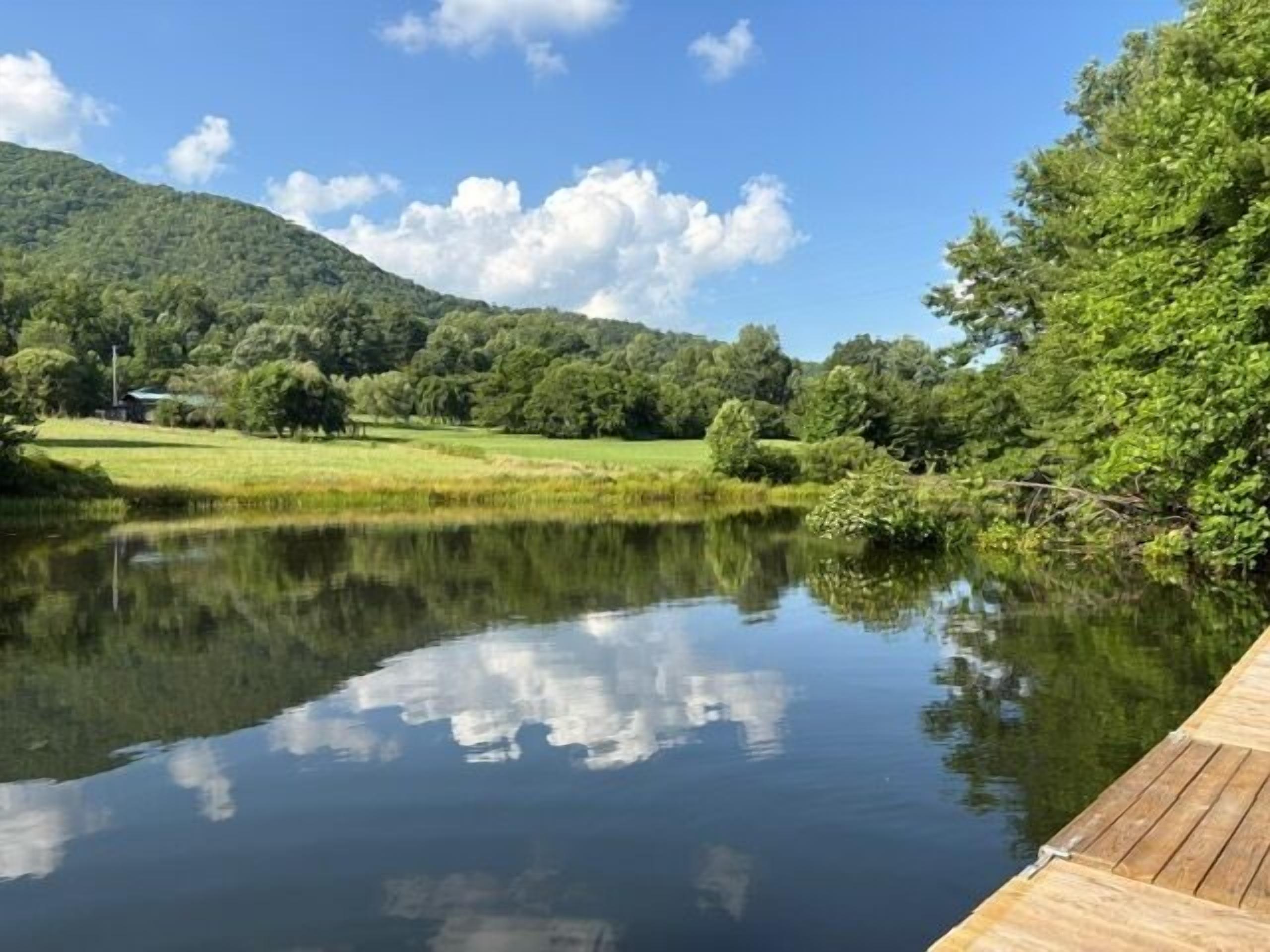 A calm lake with a wooden dock, surrounded by lush greenery and a hill in the background.