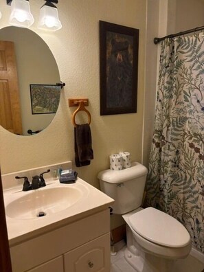 Une salle de bain équipée d’un lavabo, d’un miroir, de toilettes et d’un rideau de douche.