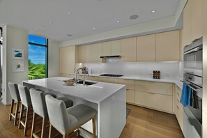 Fridge, oven, dishwasher, coffee/tea maker