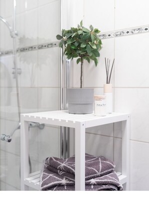 Shower, hair dryer, towels, soap