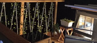 Independent apartment on barge with terrace near the city center