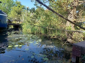 Ein ruhiger See mit Seerosen und dichtem Grün.