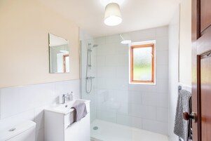 Un baño con ducha, inodoro, lavamanos y espejo.