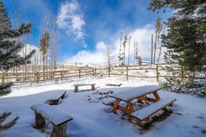 Property grounds - Peak View - Pet Friendly Home in Columbine Lake, Gorgeous Open Floor Plan (Grand Lake)