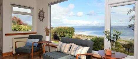 Älytelevisio, kirjoja